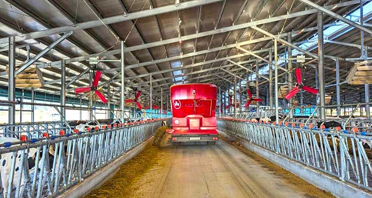 Alimentare la Mandria: Facile Con Lunifeed? Con Siloking Certamente