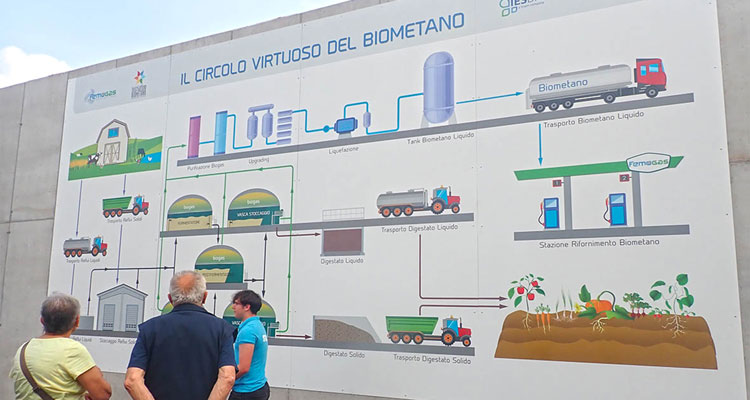 Biogas e Biometano: la nobiltà prodotta dal prodotto più povero della stalla