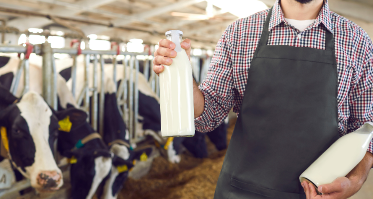 Produzione Del Latte in Crescita: Cosa C'entrano i Coltelli Unifeed?
