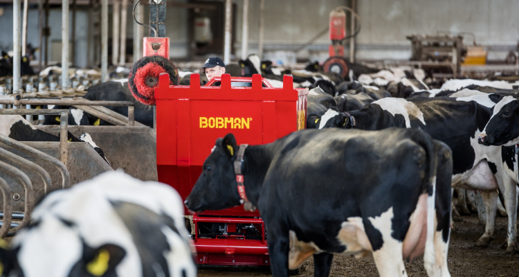 Settembre  qui: come Cavalcare le Opportunit nei Mercati di Carne e Latte fino a Fine 2024