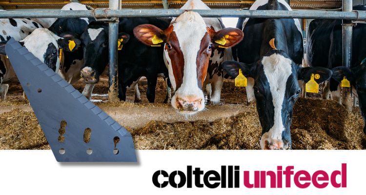 Un coltello non vale laltro