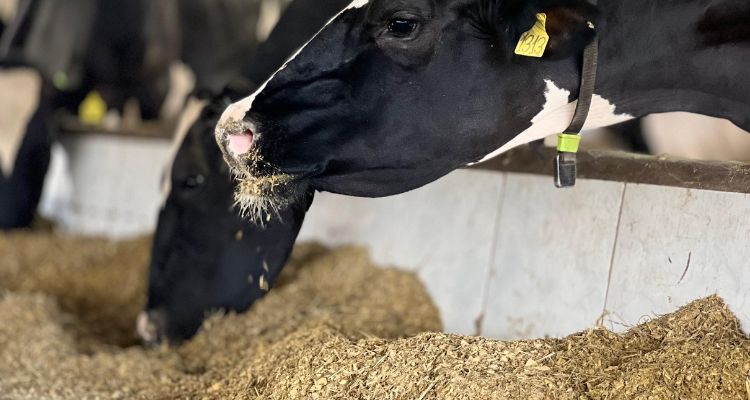 Quando il carro miscelatore non ti serve