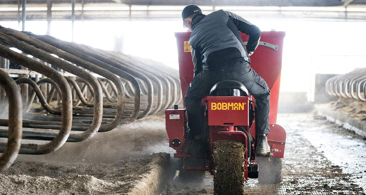 Come Ridurre Mastiti e Dermatiti Podali Animali con una Corretta Disinfezione