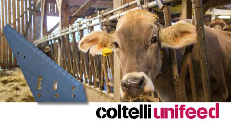 Coltelli in Tungsteno Per Carri Miscelatori: Efficienza e Durata Senza Compromessi