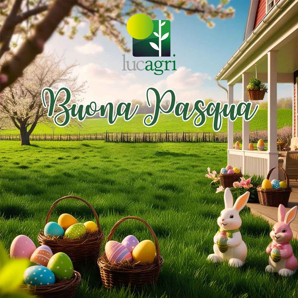 Buona Pasqua
