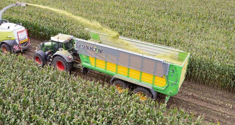 Raccolta del mais per insilato: quando  la logistica a rallentare tutto