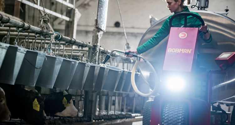 Colostratura corretta dei vitelli: linee guida 2025 e vantaggi del sistema Milkbus di Bobman