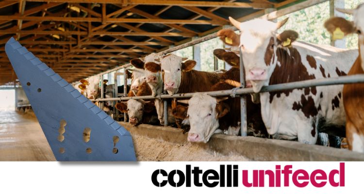 Coltelli affilati, razioni perfette: perch la manutenzione  fondamentale in autunno